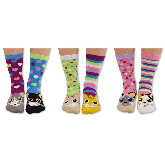 Odd Socks Catwalk socks