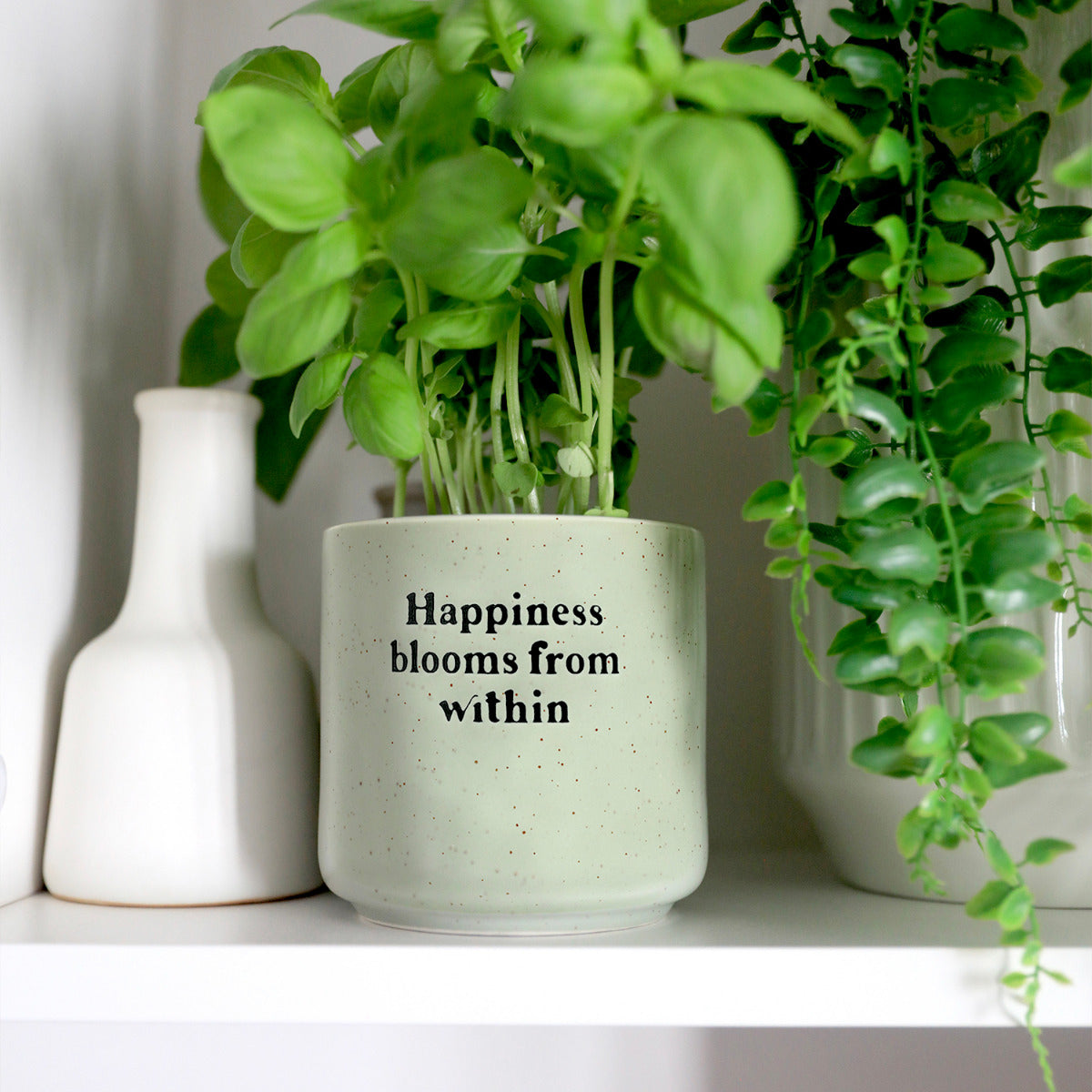 Bloom Positive Pot