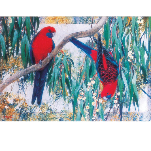 Greeting Card - Australian Crimson Rosellas And Gum Blossom
