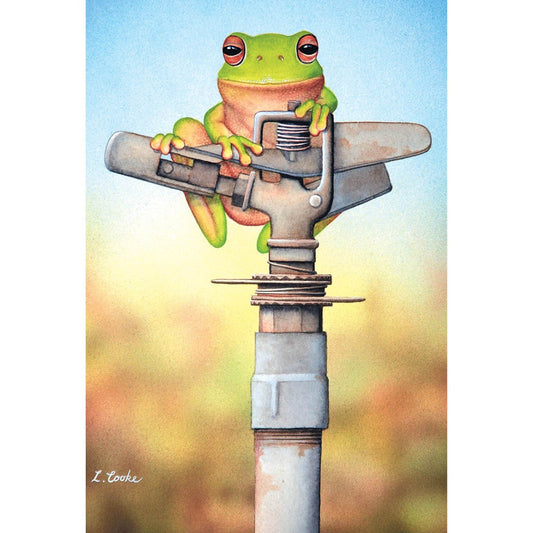 High and Dry Australia Tree Frog