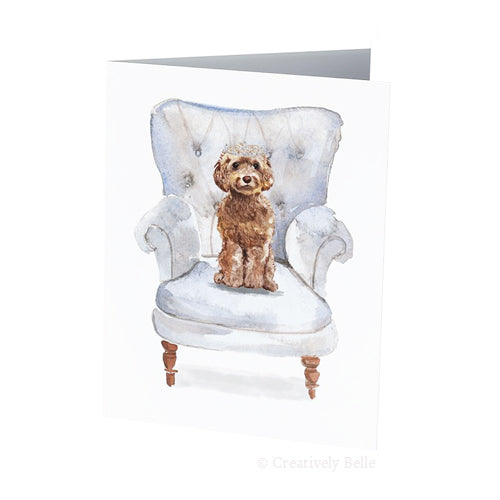Tiara Labradoodle