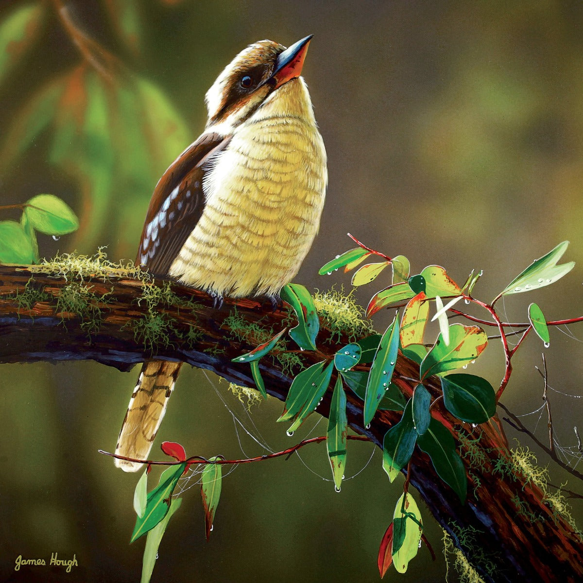 Greeting Card - Times Like This (Australian Laughing Kookaburra) 