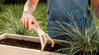 PASTEL™ Cultivator - Graphite